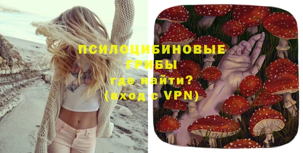 соль курить ск Няндома