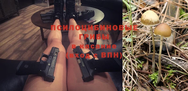 PSILOCYBIN Осинники