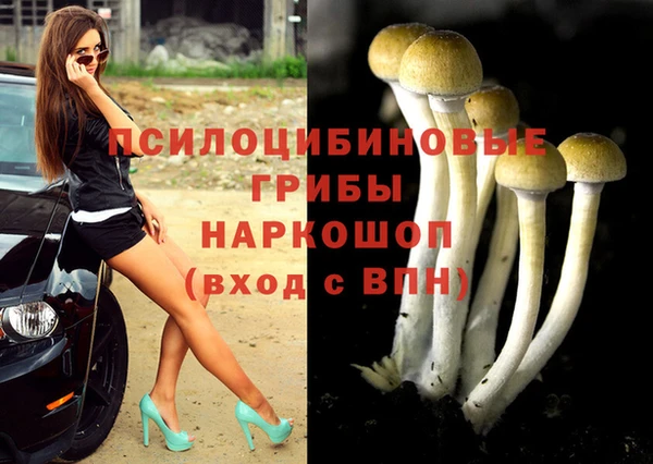 соль курить ск Няндома