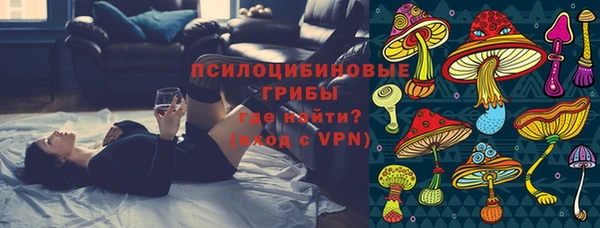 ГАЛЛЮЦИНОГЕННЫЕ ГРИБЫ Нягань